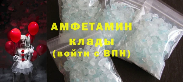 индика Лабытнанги