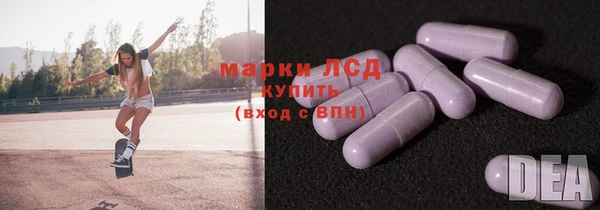 спиды Магас