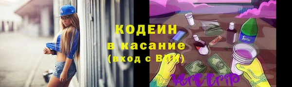 крисы Лагань