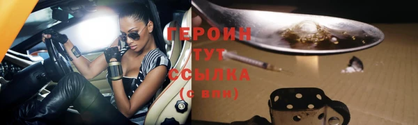 индика Лабытнанги