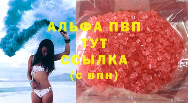 спиды Магас