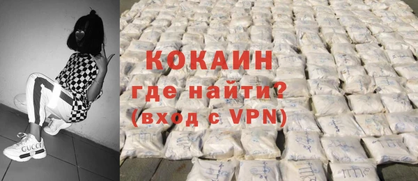 индика Лабытнанги