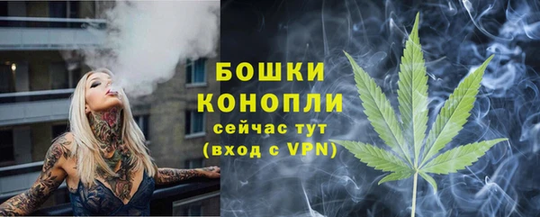 гидра Кукмор