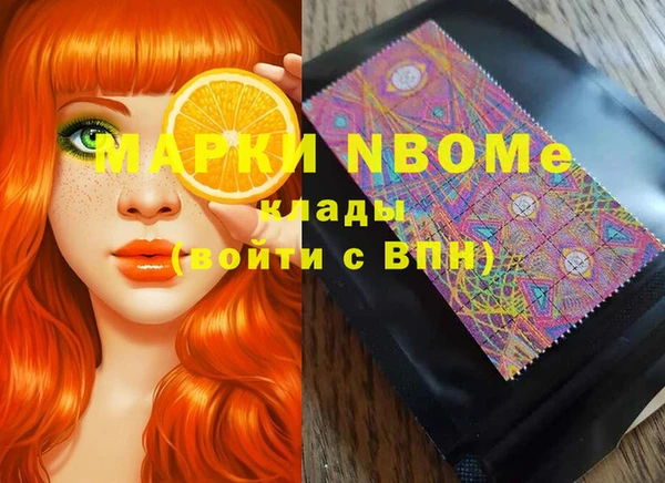 индика Лабытнанги
