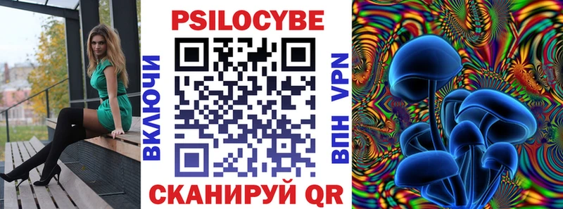 ссылка на мегу ONION  Суздаль  Галлюциногенные грибы Magic Shrooms 